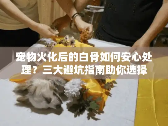 宠物火化后的白骨如何安心处理？三大避坑指南助你选择