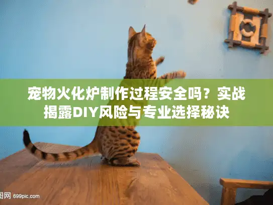 宠物火化炉制作过程安全吗？实战揭露DIY风险与专业选择秘诀