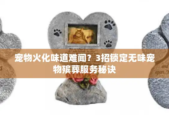 宠物火化味道难闻？3招锁定无味宠物殡葬服务秘诀