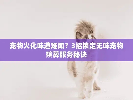 宠物火化味道难闻？3招锁定无味宠物殡葬服务秘诀