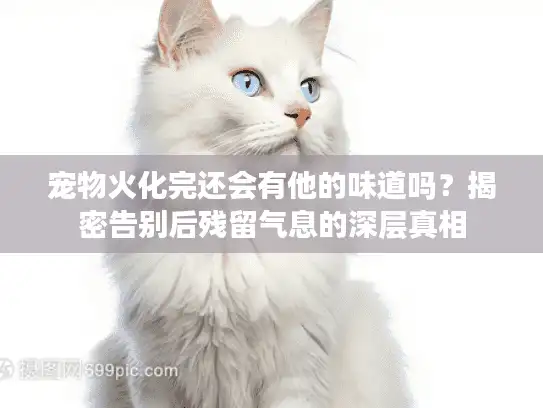 宠物火化完还会有他的味道吗？揭密告别后残留气息的深层真相
