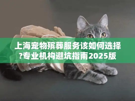 上海宠物殡葬服务该如何选择?专业机构避坑指南2025版