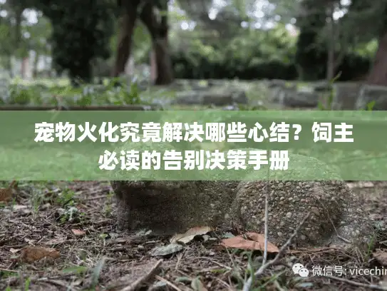 宠物火化究竟解决哪些心结？饲主必读的告别决策手册