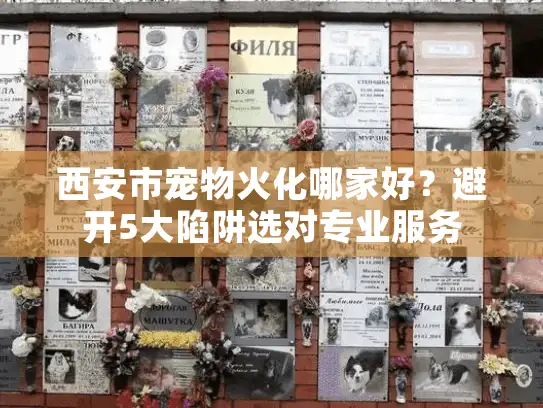 西安市宠物火化哪家好？避开5大陷阱选对专业服务