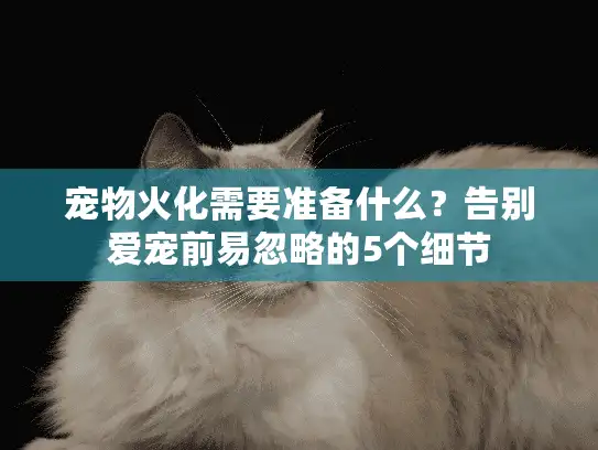 宠物火化需要准备什么？告别爱宠前易忽略的5个细节