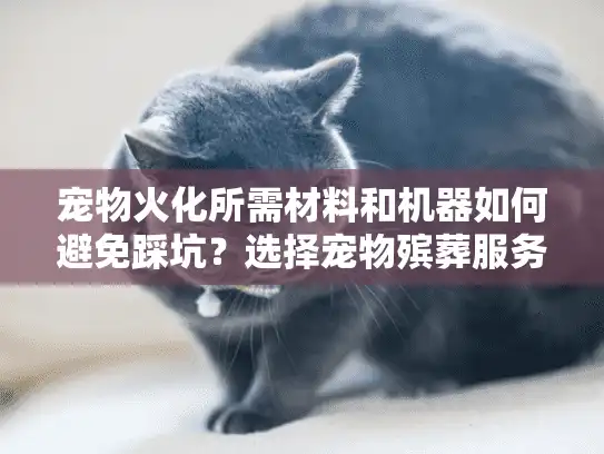 宠物火化所需材料和机器如何避免踩坑？选择宠物殡葬服务的隐藏陷阱解析