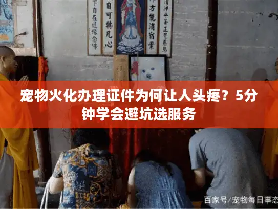 宠物火化办理证件为何让人头疼？5分钟学会避坑选服务