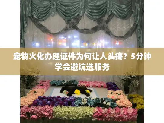 宠物火化办理证件为何让人头疼？5分钟学会避坑选服务