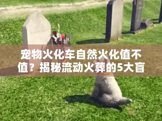 宠物火化车自然火化值不值？揭秘流动火葬的5大盲区