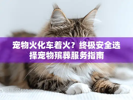 宠物火化车着火？终极安全选择宠物殡葬服务指南