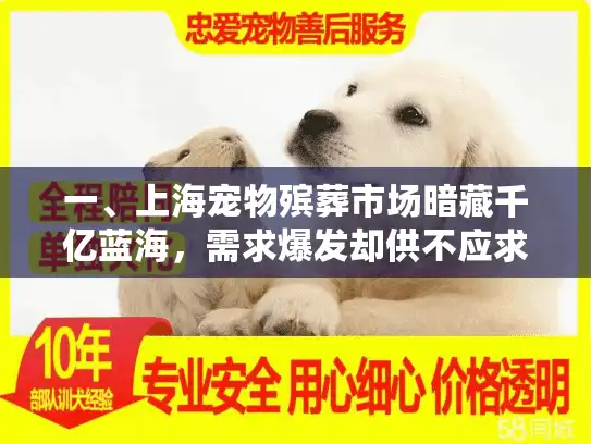 一、上海宠物殡葬市场暗藏千亿蓝海，需求爆发却供不应求
