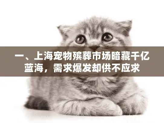 一、上海宠物殡葬市场暗藏千亿蓝海，需求爆发却供不应求
