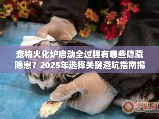 宠物火化炉启动全过程有哪些隐藏隐患？2025年选择关键避坑指南揭晓