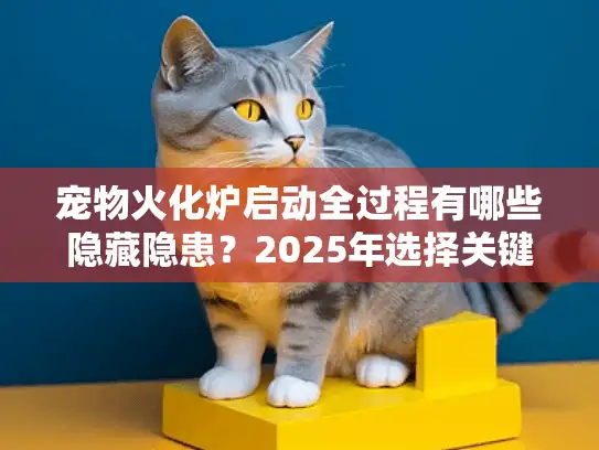 宠物火化炉启动全过程有哪些隐藏隐患？2025年选择关键避坑指南揭晓