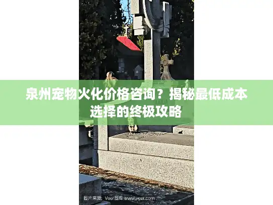 泉州宠物火化价格咨询？揭秘最低成本选择的终极攻略