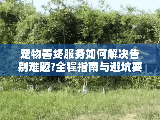 宠物善终服务如何解决告别难题?全程指南与避坑要点