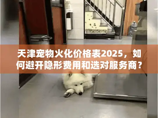 天津宠物火化价格表2025，如何避开隐形费用和选对服务商？