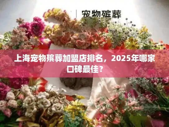 上海宠物殡葬加盟店排名，2025年哪家口碑最佳？