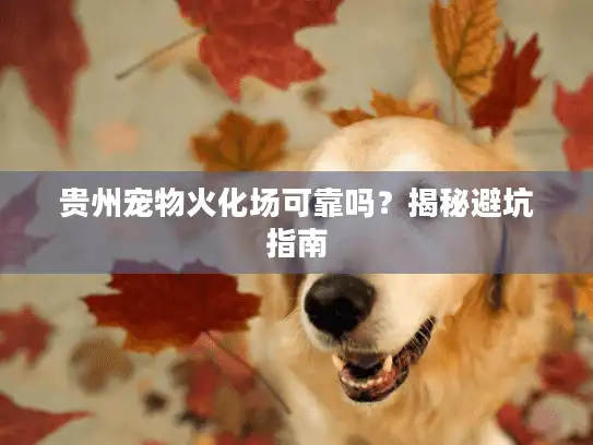 贵州宠物火化场可靠吗？揭秘避坑指南
