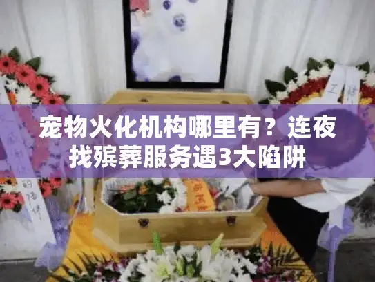 宠物火化机构哪里有？连夜找殡葬服务遇3大陷阱
