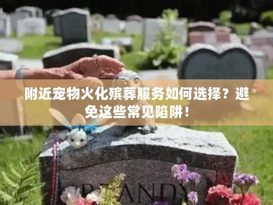 附近宠物火化殡葬服务如何选择？避免这些常见陷阱！