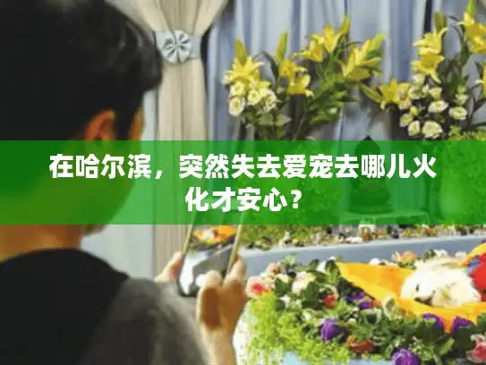 在哈尔滨，突然失去爱宠去哪儿火化才安心？