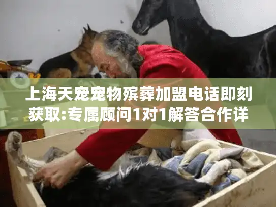 上海天宠宠物殡葬加盟电话即刻获取:专属顾问1对1解答合作详情