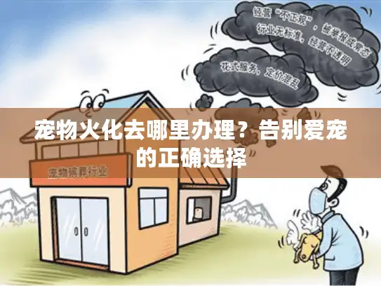 宠物火化去哪里办理？告别爱宠的正确选择