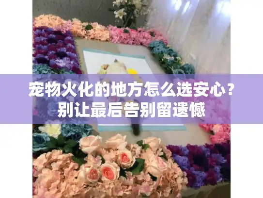 宠物火化的地方怎么选安心？别让最后告别留遗憾