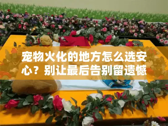 宠物火化的地方怎么选安心？别让最后告别留遗憾