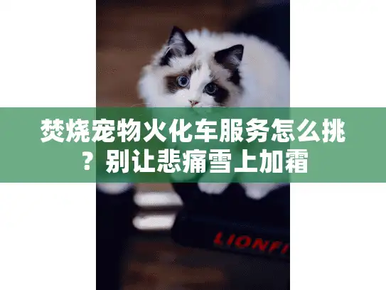 焚烧宠物火化车服务怎么挑？别让悲痛雪上加霜