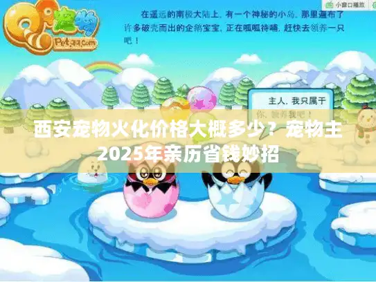 西安宠物火化价格大概多少？宠物主2025年亲历省钱妙招