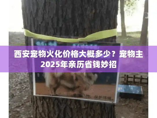 西安宠物火化价格大概多少？宠物主2025年亲历省钱妙招