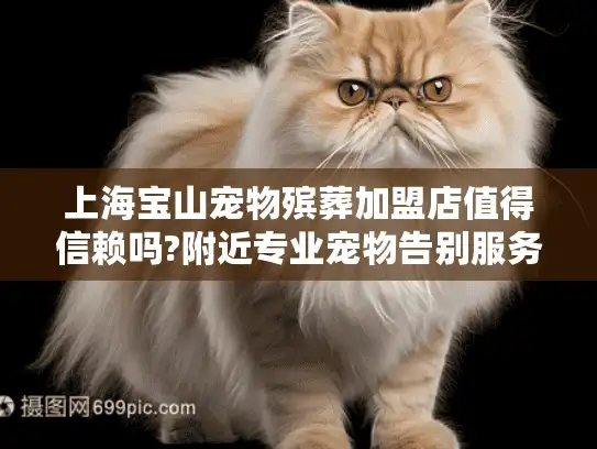 上海宝山宠物殡葬加盟店值得信赖吗?附近专业宠物告别服务选择攻略