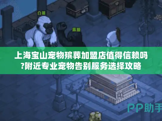 上海宝山宠物殡葬加盟店值得信赖吗?附近专业宠物告别服务选择攻略
