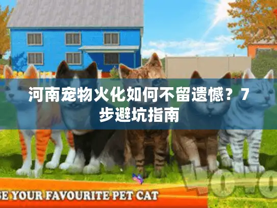 河南宠物火化如何不留遗憾？7步避坑指南