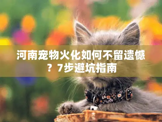 河南宠物火化如何不留遗憾？7步避坑指南