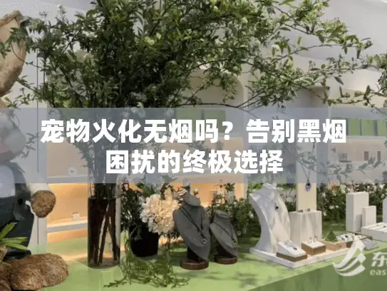 宠物火化无烟吗？告别黑烟困扰的终极选择