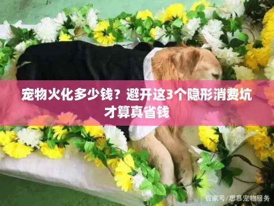 宠物火化多少钱？避开这3个隐形消费坑才算真省钱