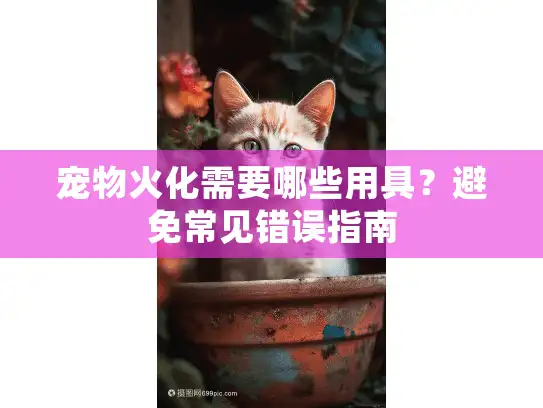 宠物火化需要哪些用具？避免常见错误指南