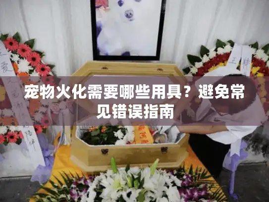 宠物火化需要哪些用具？避免常见错误指南