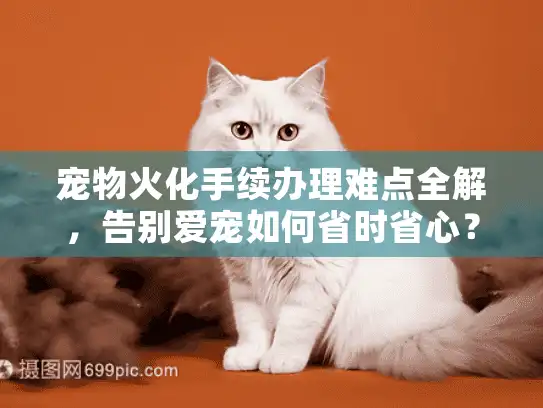 宠物火化手续办理难点全解，告别爱宠如何省时省心？
