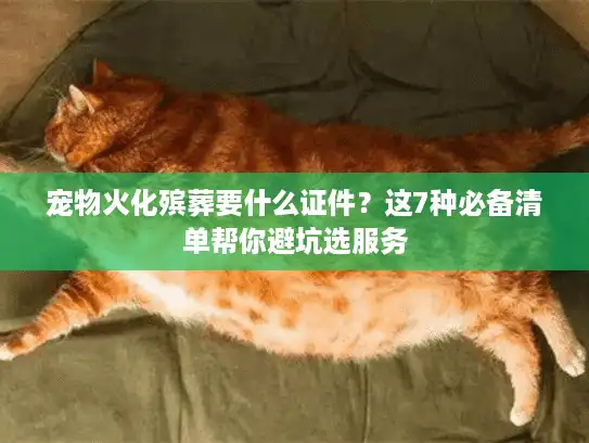 宠物火化殡葬要什么证件？这7种必备清单帮你避坑选服务