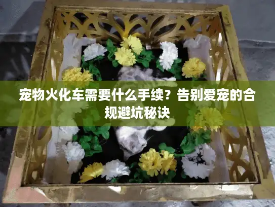 宠物火化车需要什么手续？告别爱宠的合规避坑秘诀
