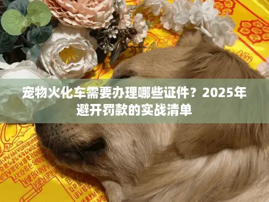 宠物火化车需要办理哪些证件？2025年避开罚款的实战清单