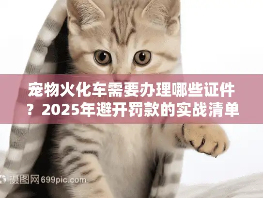 宠物火化车需要办理哪些证件？2025年避开罚款的实战清单
