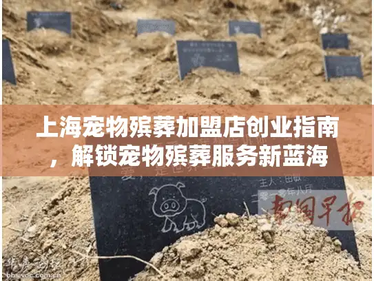上海宠物殡葬加盟店创业指南，解锁宠物殡葬服务新蓝海
