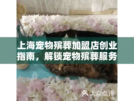 上海宠物殡葬加盟店创业指南，解锁宠物殡葬服务新蓝海