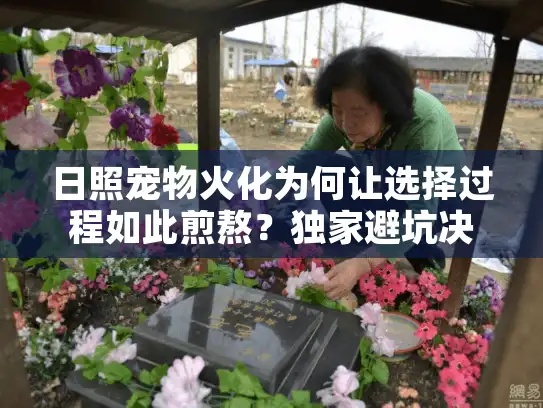日照宠物火化为何让选择过程如此煎熬？独家避坑决策法