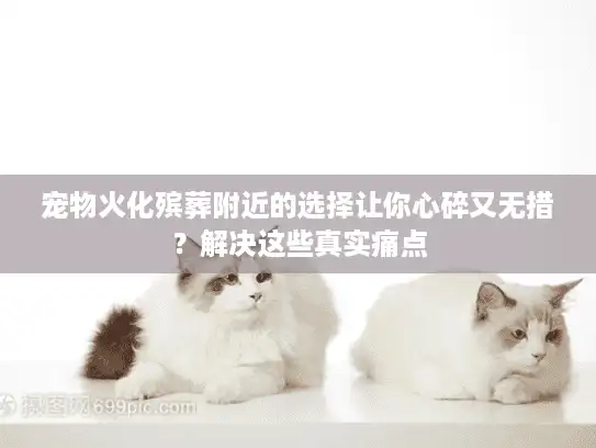 宠物火化殡葬附近的选择让你心碎又无措？解决这些真实痛点